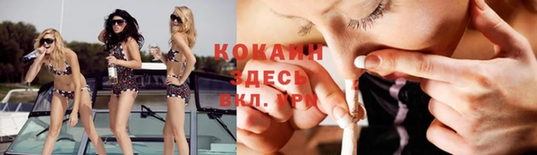 шишки Бронницы