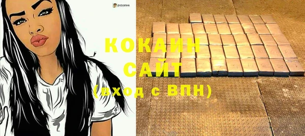 шишки Бронницы