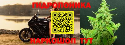 стафф Братск
