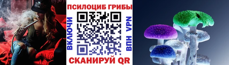 где купить наркотик  Мончегорск  Псилоцибиновые грибы Cubensis 