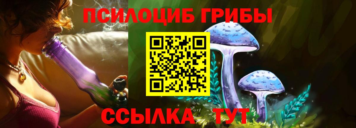 Мончегорск  Галлюциногенные грибы MAGIC MUSHROOMS  Вход с VPN  Псилоцибиновые грибы мицелий 